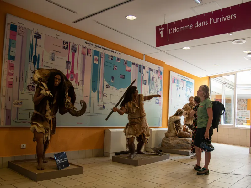 Musée de Préhistoire de Tautavel
