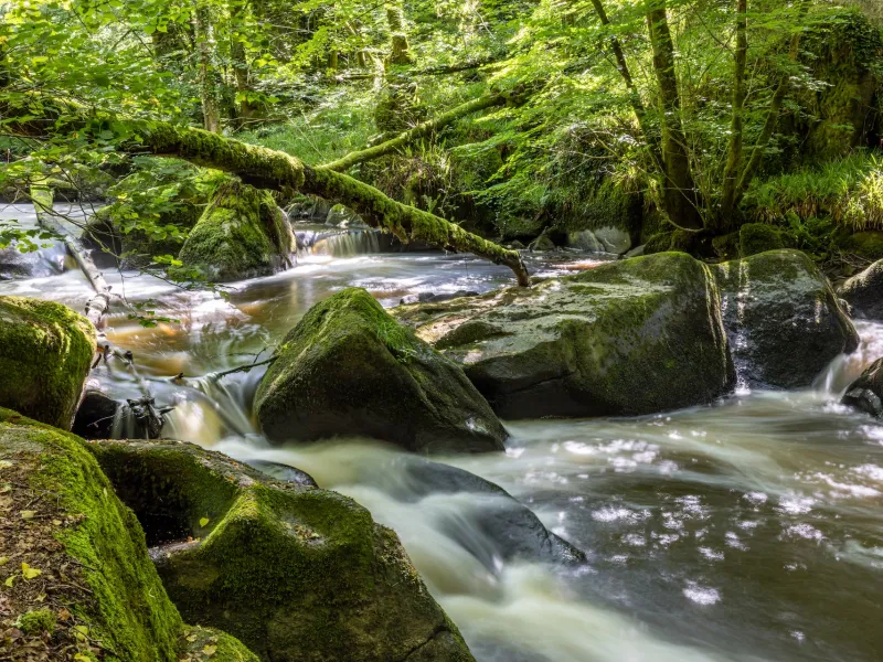 Trou du Philippou - PNR