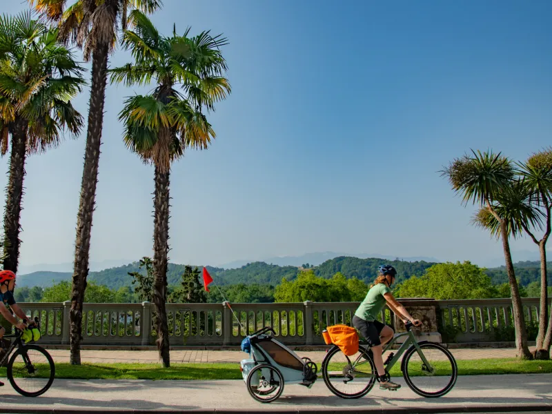 À vélo sous les palmiers - La Vélosud