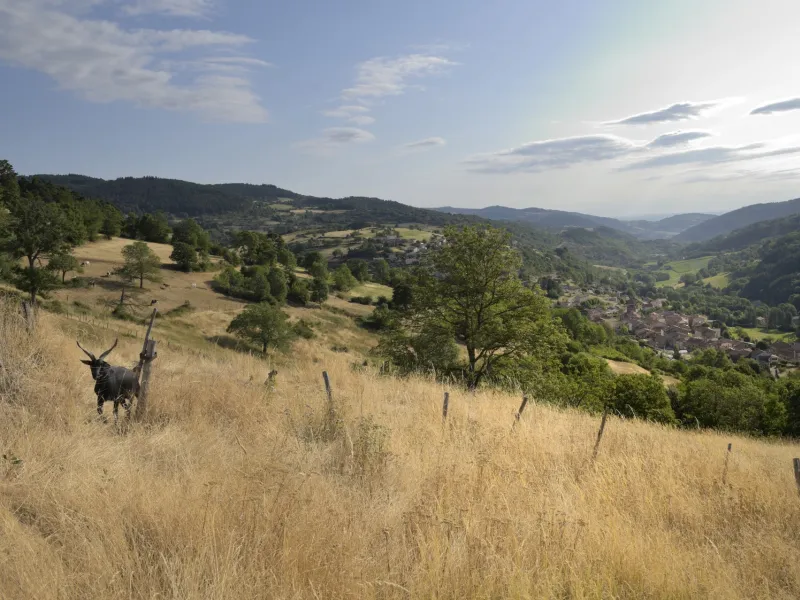Vue panoramique sur la Vallée de Deûme