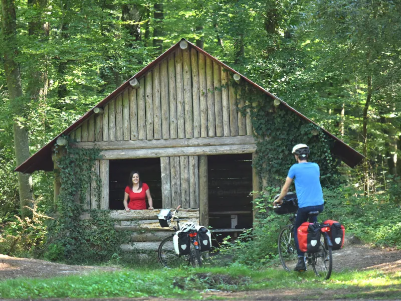 Abri dans la Forêt de Jupilles - Sarthe à vélo