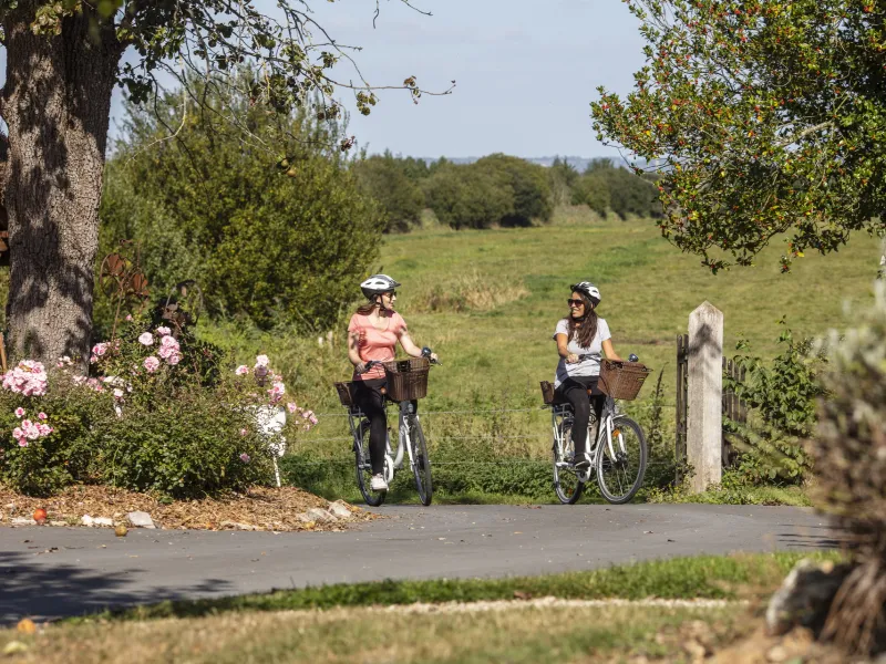 Arrivée au gîte des cigognes à vélo