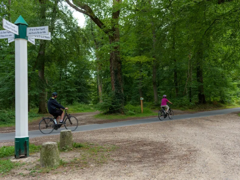 À vélo dans la forêt Halatte