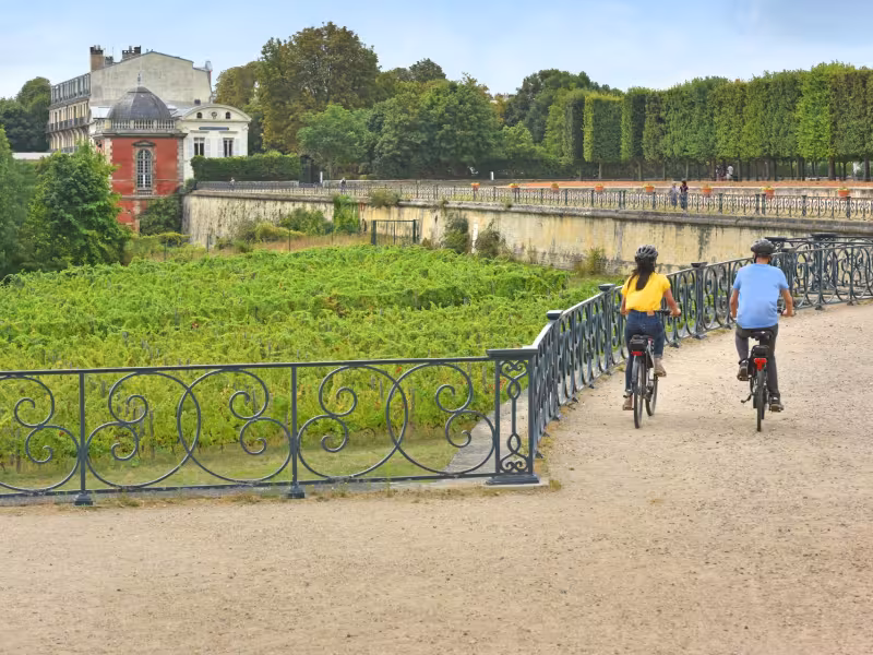 À vélo sur la grande terrasse de Saint-Germain-en-Laye