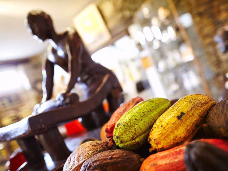 Bayonne et le chocolat, une spécialité locale