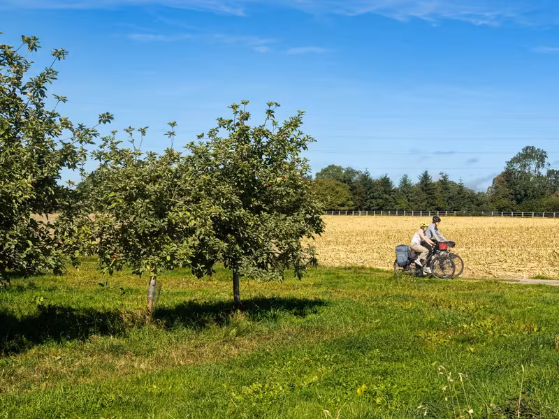 Les vergers à Beuzeville