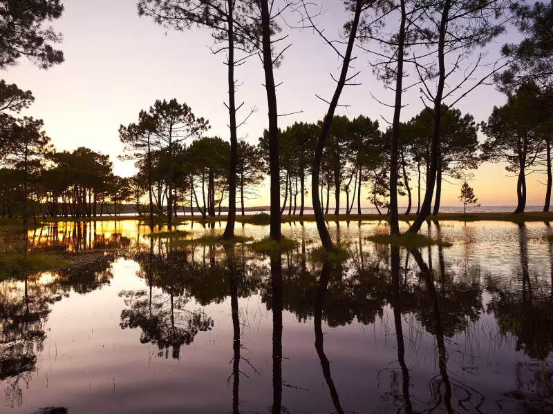 Territoire des Grands Lacs - Biscarosse