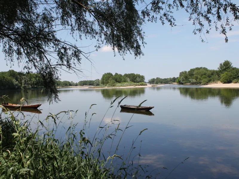 La Loire à Argenvières