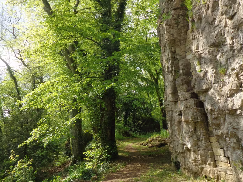 Bourmont parc des roches - mur