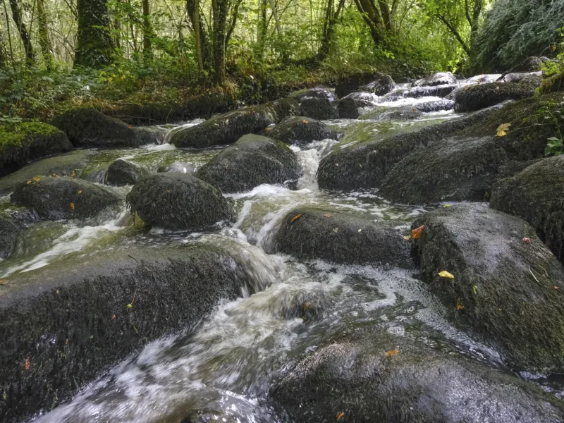 Cascades du Pays de Vire