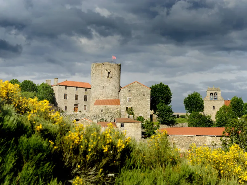 Chateau d'Esplantas