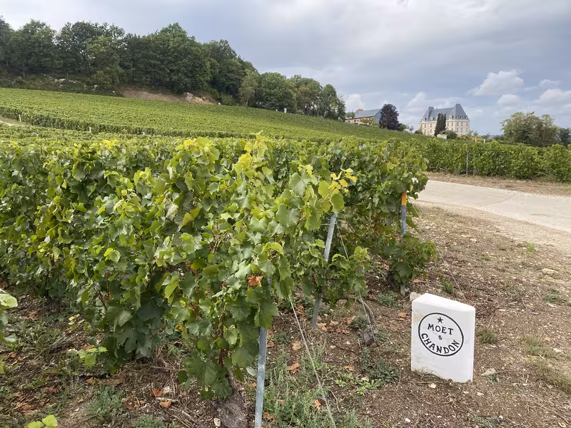 Château de Saran en Champagne