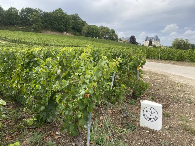 Château de Saran en Champagne
