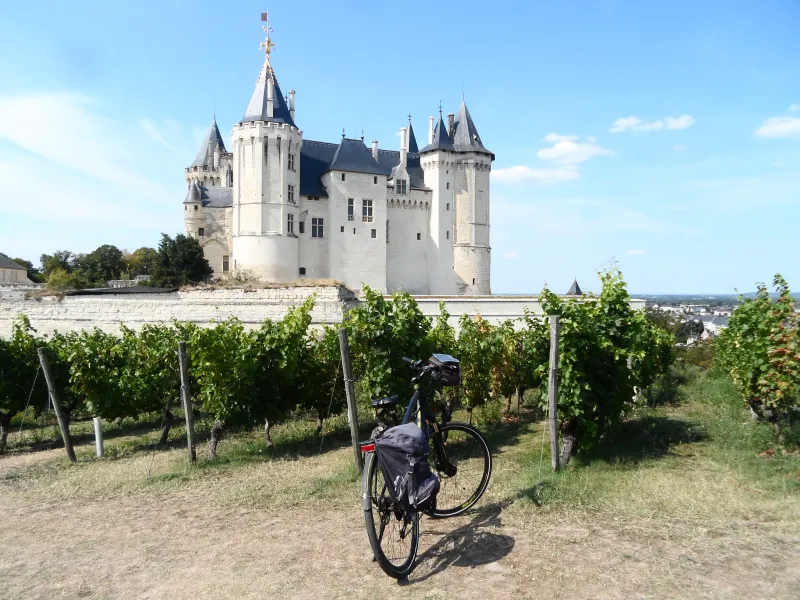 Le château de Saumur
