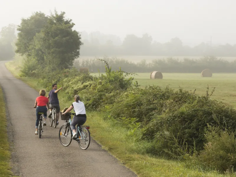 Balade champêtre en queue de Brenne - Boucle vélo n°12