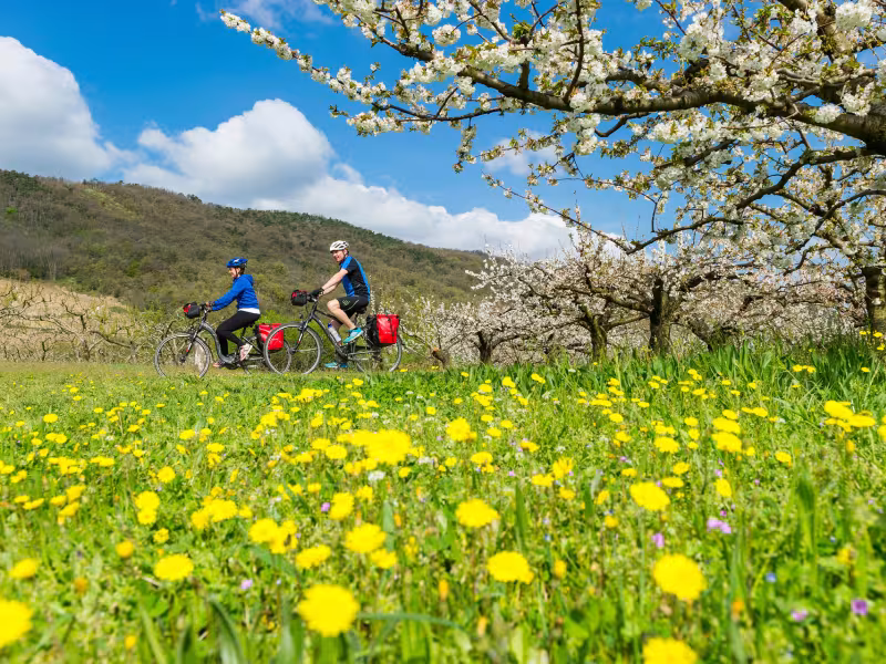 Cyclistes sur la ViaRhôna au printemps