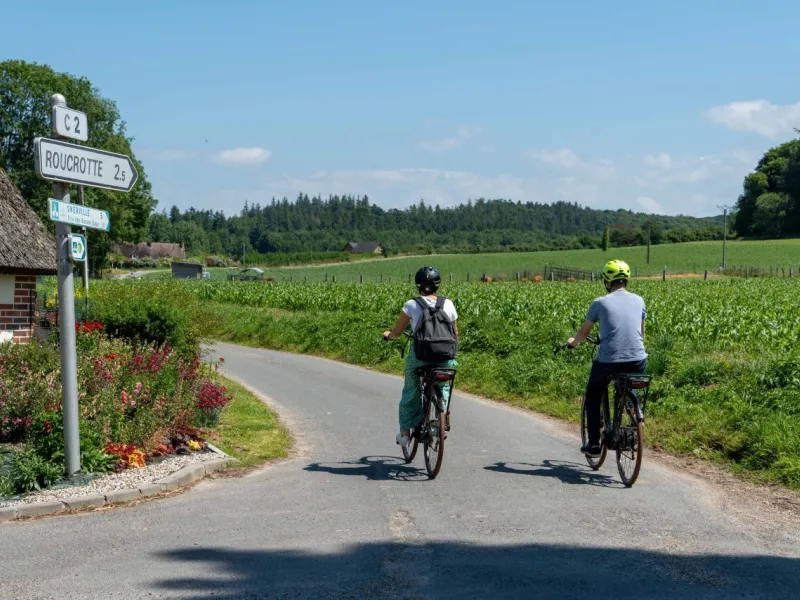 À vélo dans la campagne cauchoise
