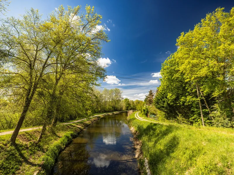 Berges verdoyantes du canal d'Orléans à vélo