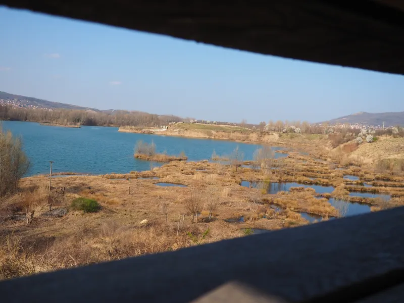 Observation l'étang de la Roche noire