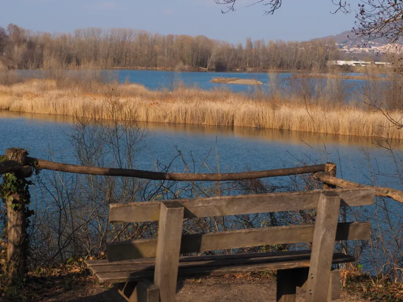 Etang de la roche noire