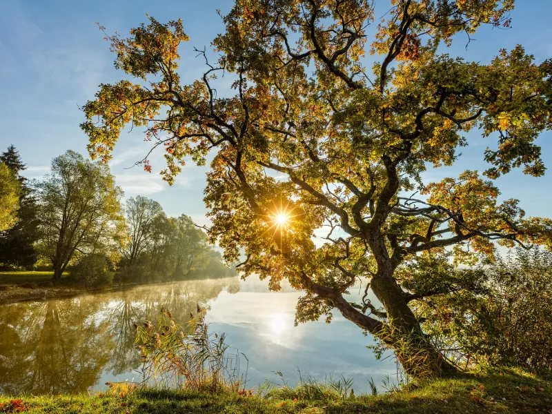 Etang du Pasquier