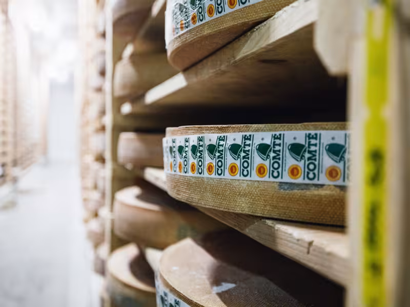 Fruitière à Comté