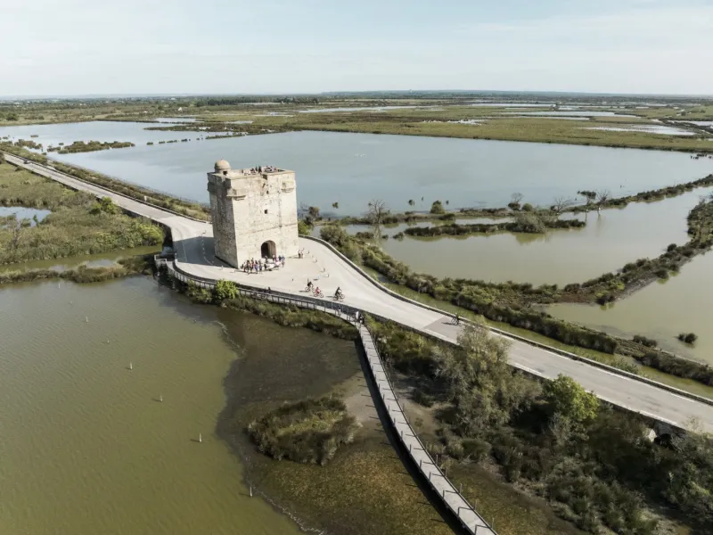 Cyclistes sur ViaRhôna près de la tour Carbonnière