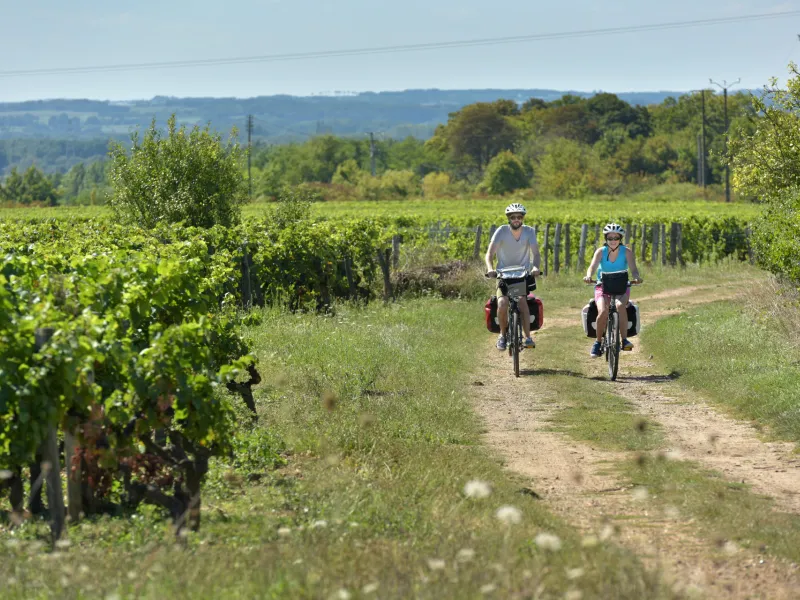 Itinéraire vélo dans les vignobles de la Vallée du Loir