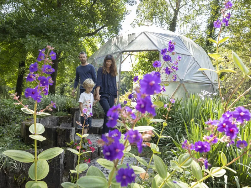 Jardin des fontaines pétrifiantes