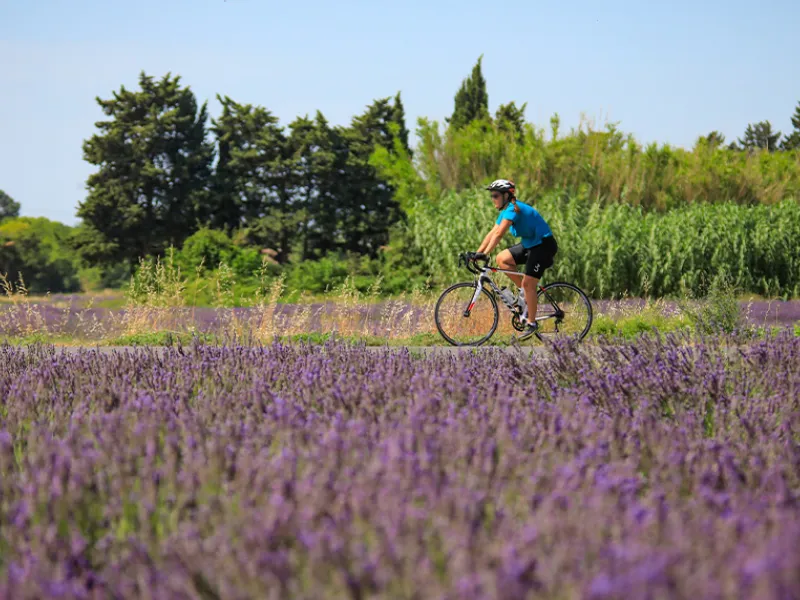 Abicyclette Voyages