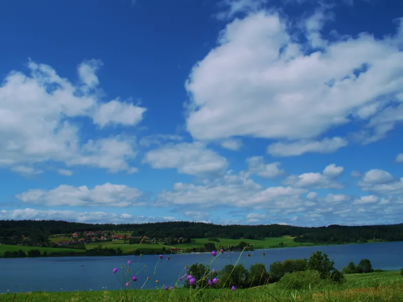 Vue sur le lac Saint Point