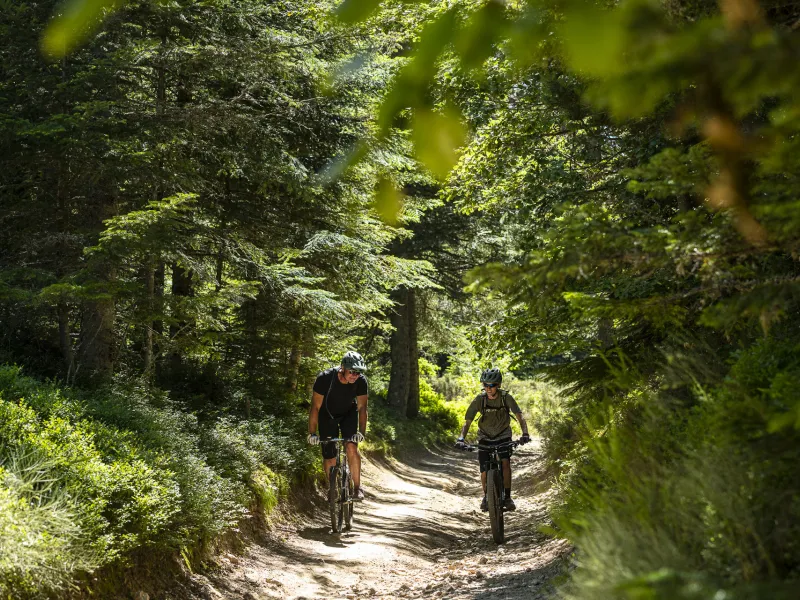 Louveton - Saint-André-en-Vivarais