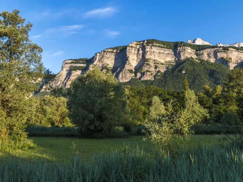 Le marais de Montfort