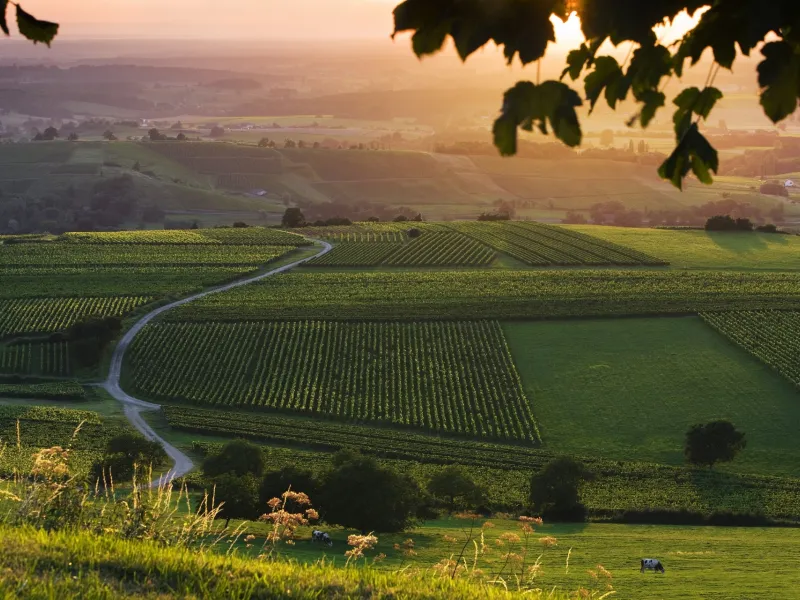 Paysage du Jura