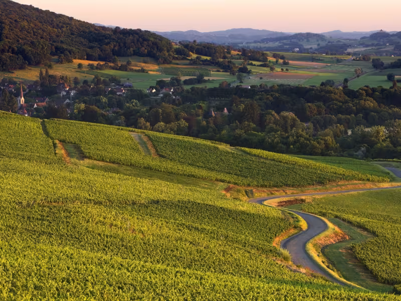 Paysage du Jura