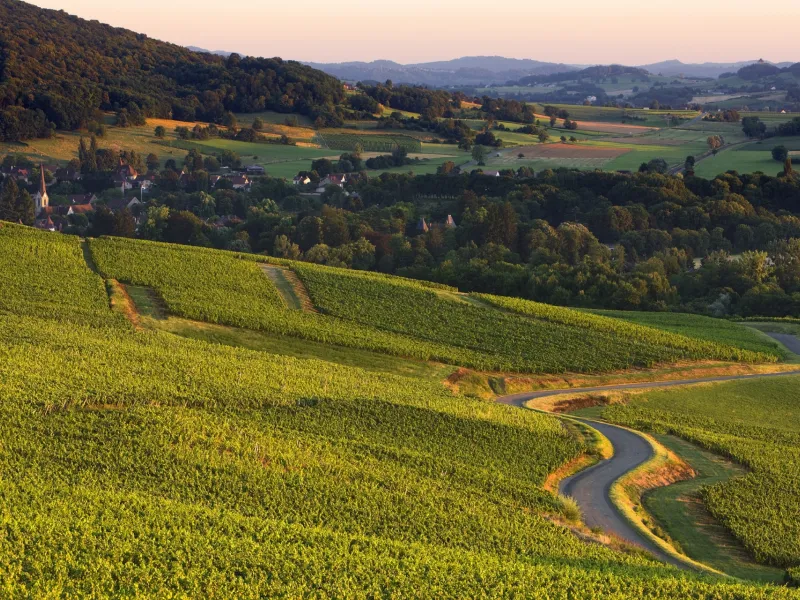 Paysage du Jura