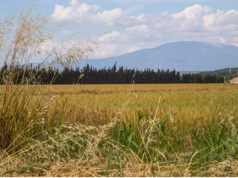 Paysage sur la Via Venaissia