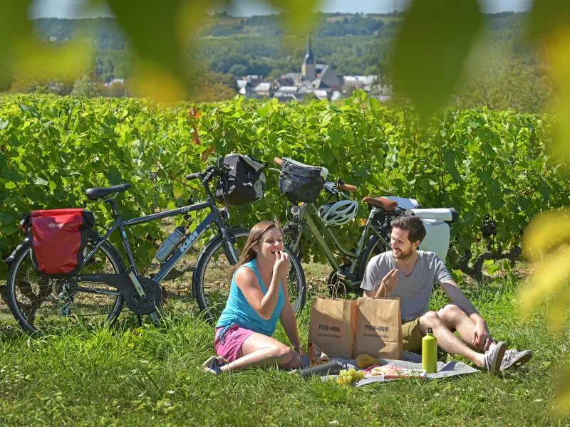 Pique-nique et vélo dans les vignes de la Vallée du Loir