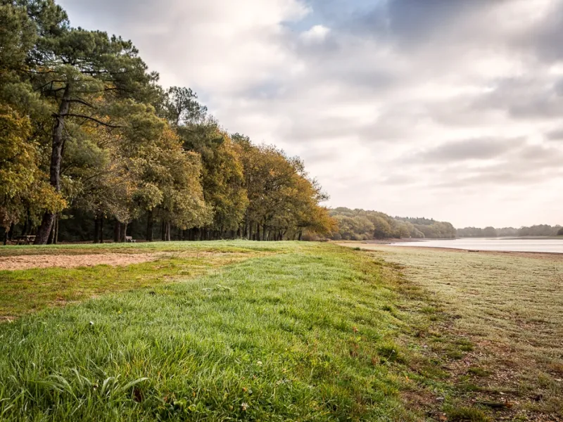Prairie lac de Vioreau