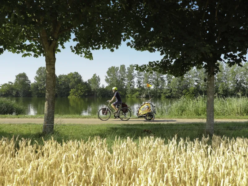 Remorque vélo sur la voie verte de la Voie Bleue