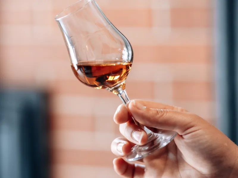 Dégustation de Cognac à Graves-Saint-Amand