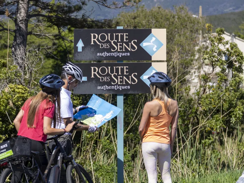 Sur la route des sens authentiques