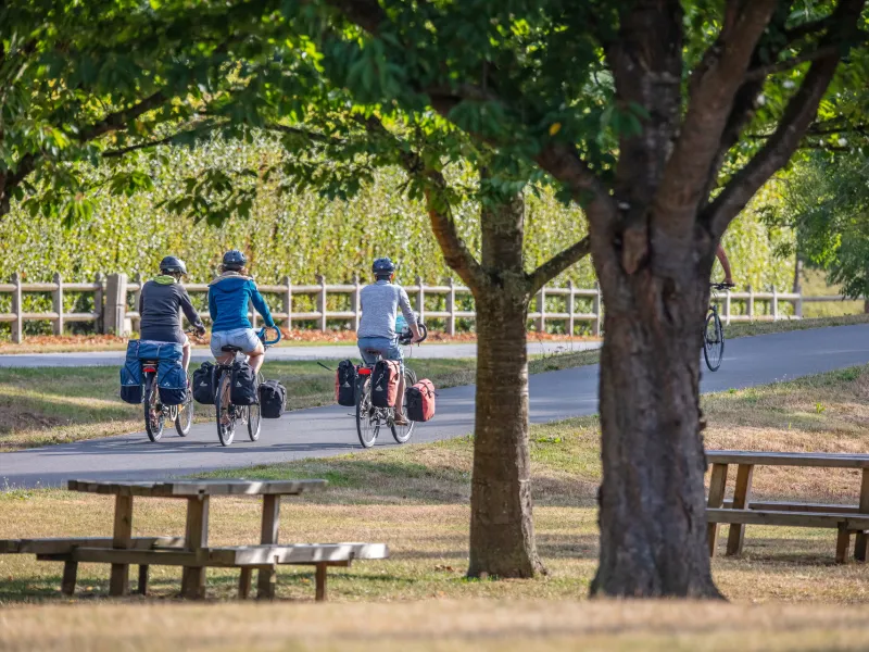 Tables piques-niques à Rives-sur-Seine