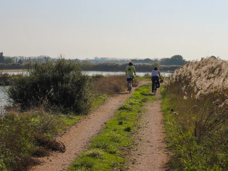 La Camargue avec Vélorizons