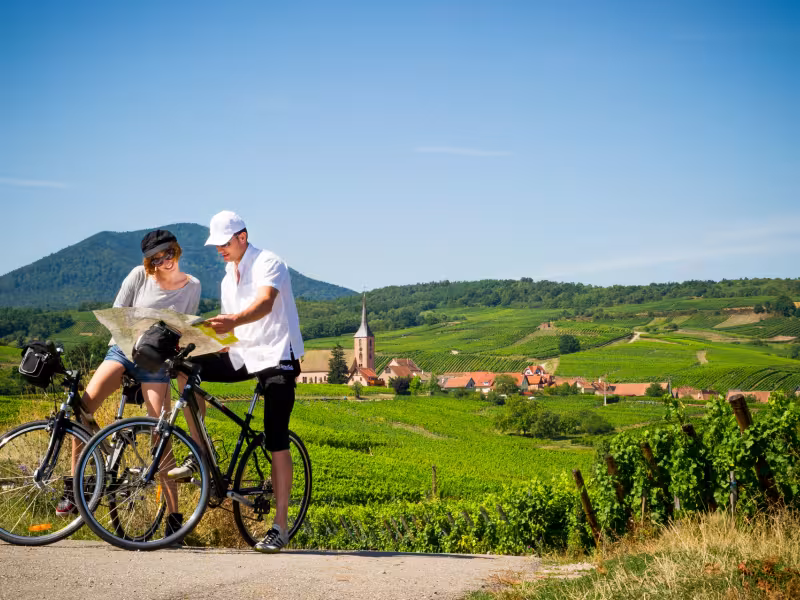 S'orienter sur la véloroute du Vignoble