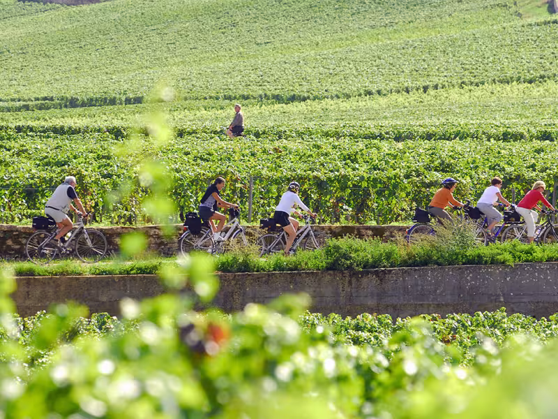 Voie des vignes à vélo en Bourgogne 
