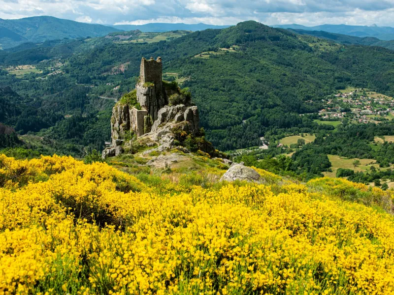Vestiges du château de Rochebonne