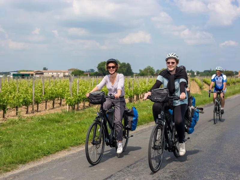 Cyclistes dans le vignoble libournais