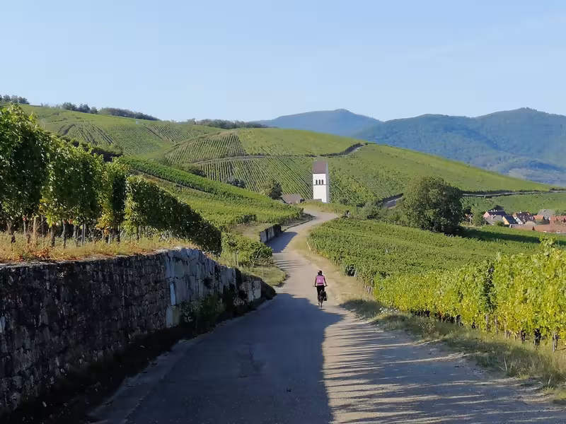 Vignobles d'Alsace