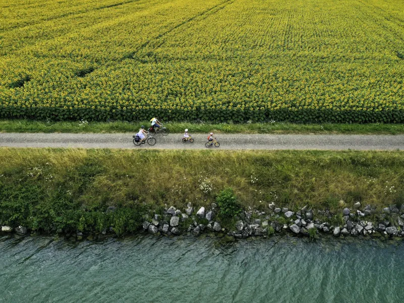 La Voie Bleue entre les champs de Tournesol et la Saône
